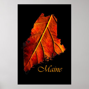 Poster Maine Autumn Orange Leaf Maine Fall Foliing