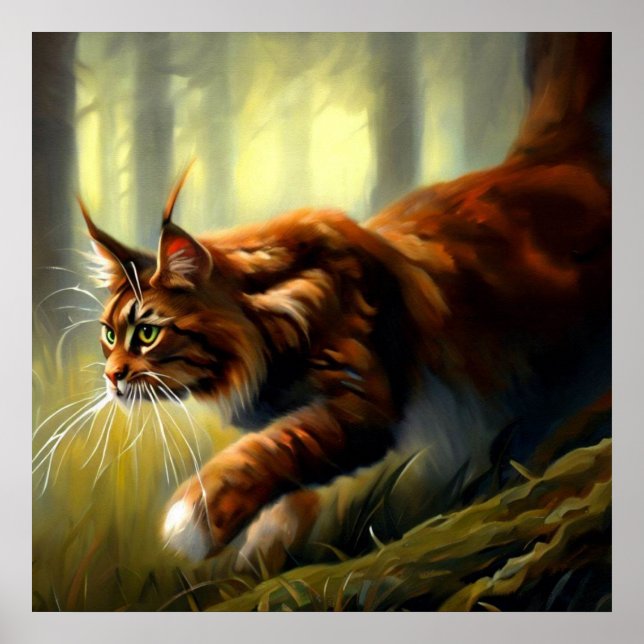 Poster Maine Coon (Devant)
