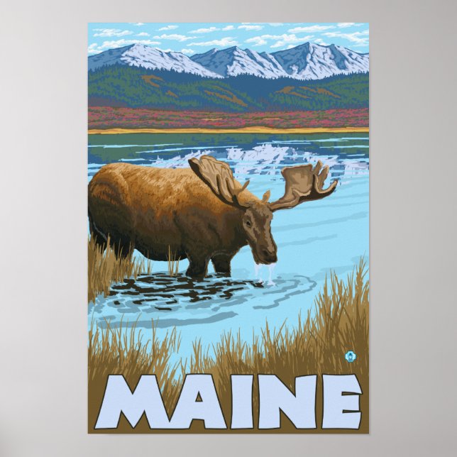 Poster MaineMoose Boire dans le lac (Devant)