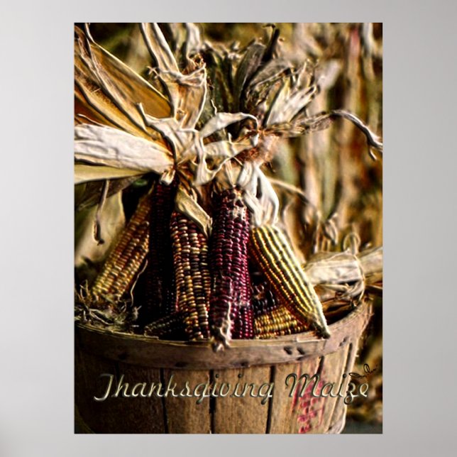 Poster Maïs de Thanksgiving (Devant)
