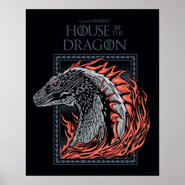 Poster MAISON DU DRAGON | Profil de dragon en flammes (Devant)