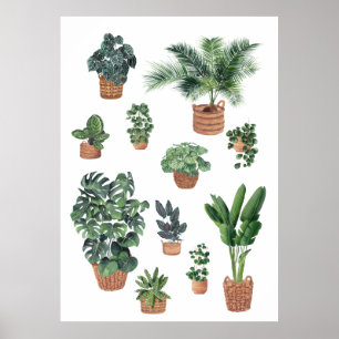 Poster Maison Plantes Collection 4