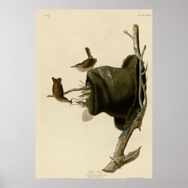 Poster Maison Wren (Devant)