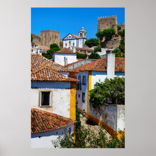 Poster Maisons traditionnelles aux toits rouges   Portuga