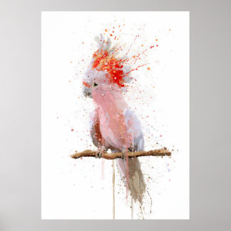 Poster Majesté rose