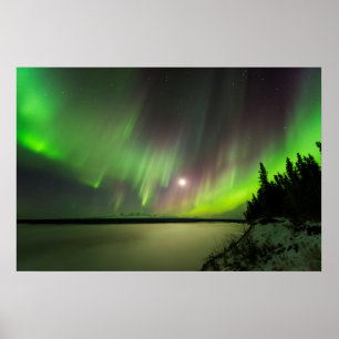 Poster Majestic Aurora