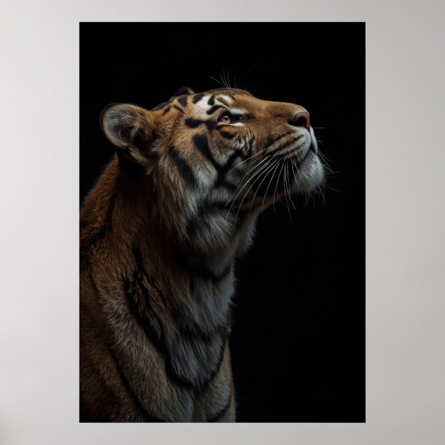 Poster Majestic Bengal Tiger Wildlife Portrait (Devant)