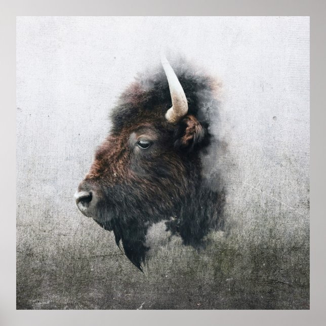 Poster Majestic Bison Portrait (Devant)