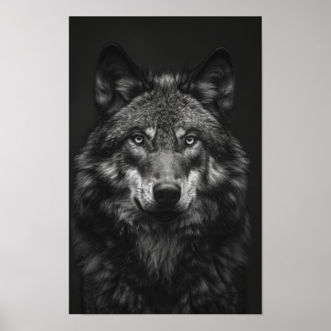 Poster Majestic Black and White Wolf Portrait (Devant)
