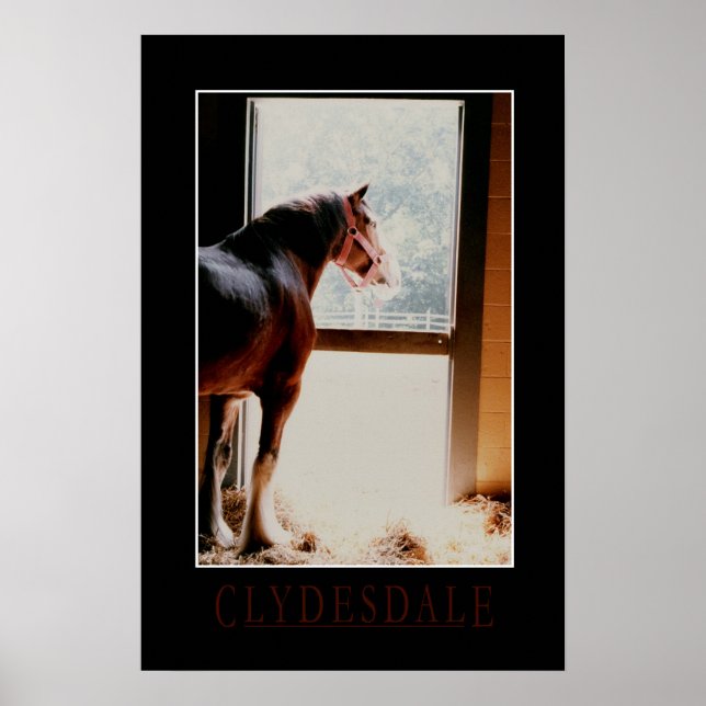 Poster Majestic Clydesdale (Devant)