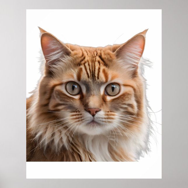 Poster Majestic Orange Tabby Cat Portrait (Devant)