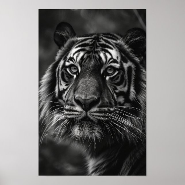 Poster Majestic Tiger Portrait Art (Devant)