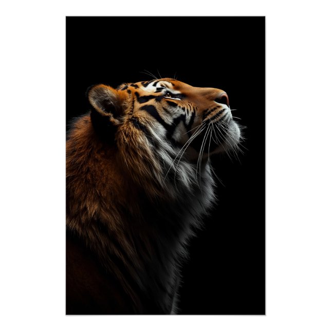 Poster Majestic Tiger Portrait, Strength Royal Confidence (Devant)