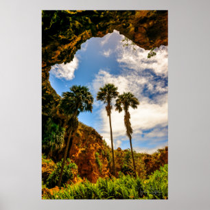 Poster Makauwahi Cave Palm Trees, Kauai, Hawaii