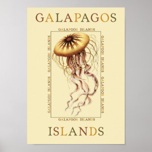 Poster Maladie des îles Galapagos
