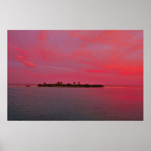 Poster Maldives rose