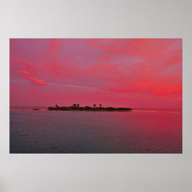 Poster Maldives rose (Devant)