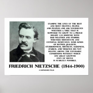 Poster Malheur Conditions favorables croissance Nietzsche