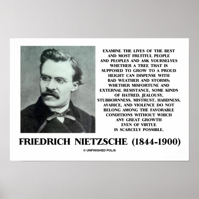 Poster Malheur Conditions favorables croissance Nietzsche (Devant)