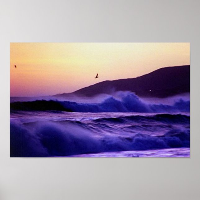 Poster Malibu Beach (Devant)