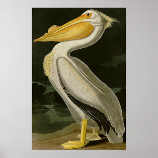 Poster Malibu Life Design Series Pelican