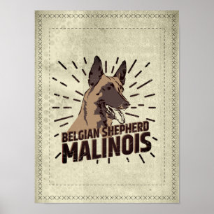 Poster Malinois - Belgian shepherd -Mechelaar -Maligator