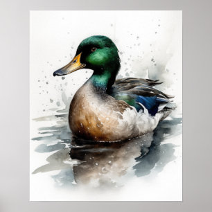 Poster Mallard Duck Bird Art Imprimer l'affiche