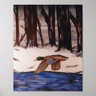 Poster Mallard Duck on a Mission
