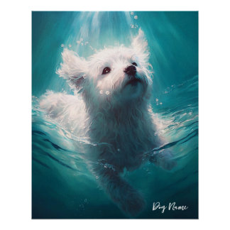Poster Maltese dog swimming in water 003