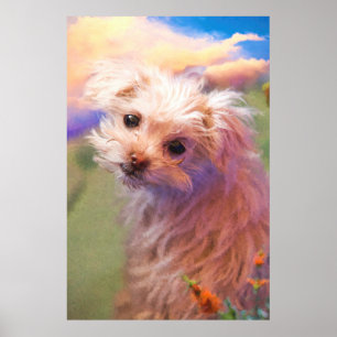 Poster Maltese Rescue Puppy Day 1 “THE WEE ONE”