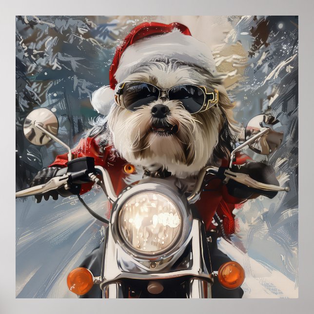 Poster Malti Tzu Chien équitation Moto Noël (Devant)