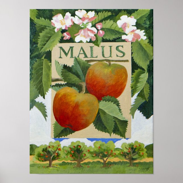 Poster Malus (Devant)