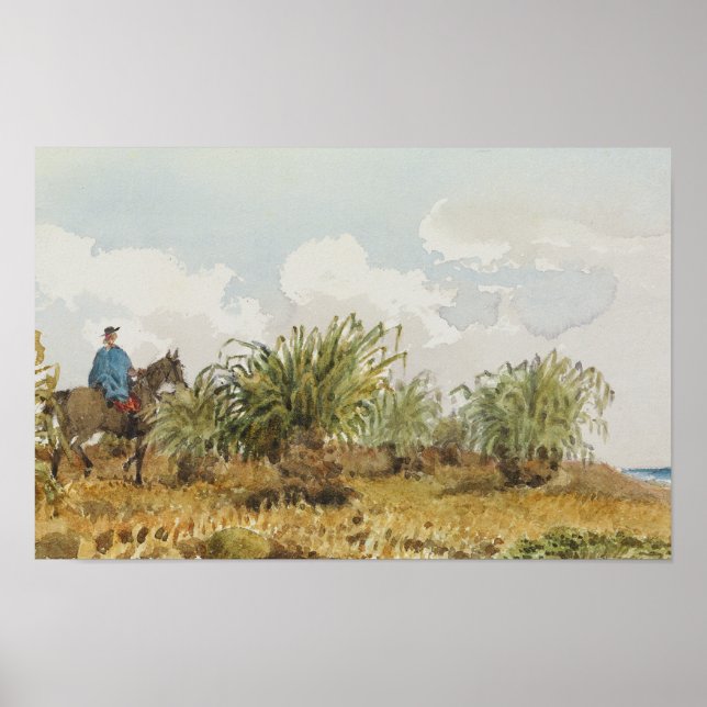 Poster malvinas (Devant)