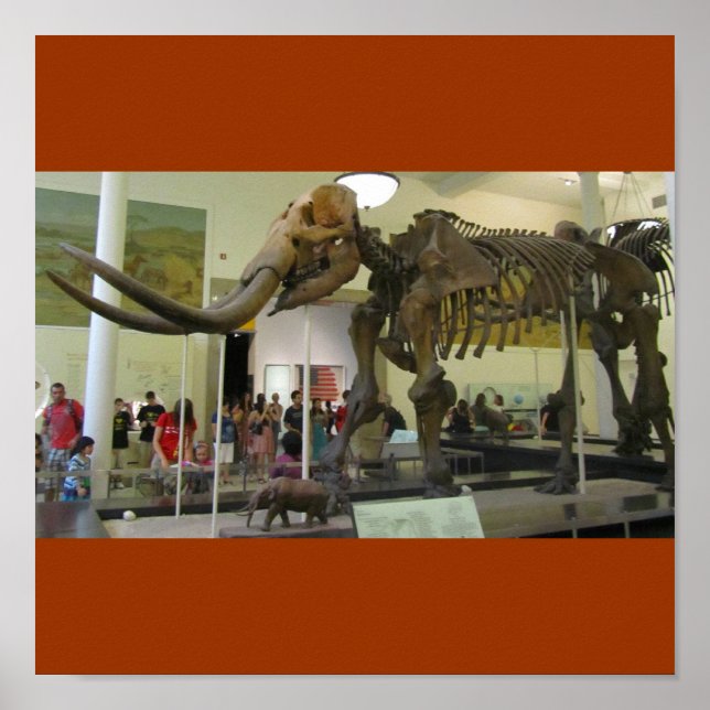 Poster Mammoth ! (Devant)