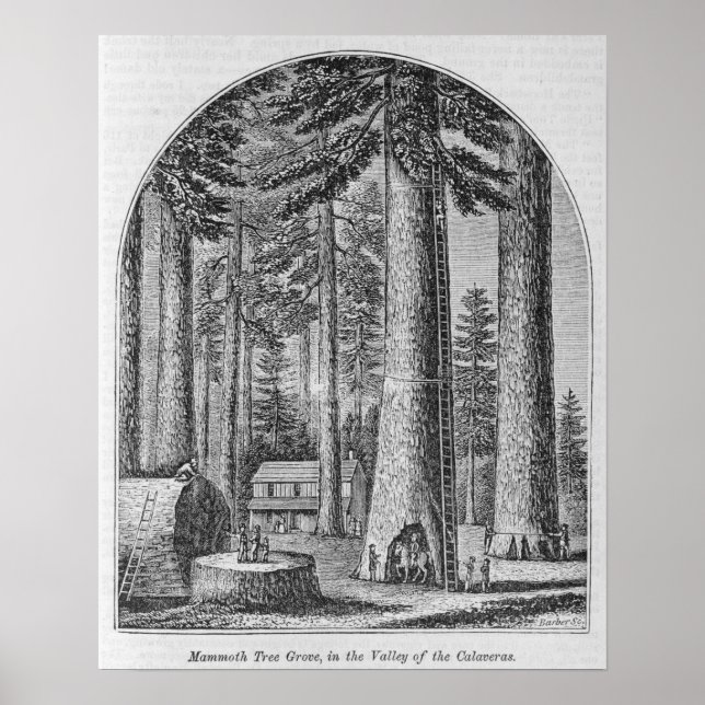 Poster Mammoth dans la Vallée de la (Devant)