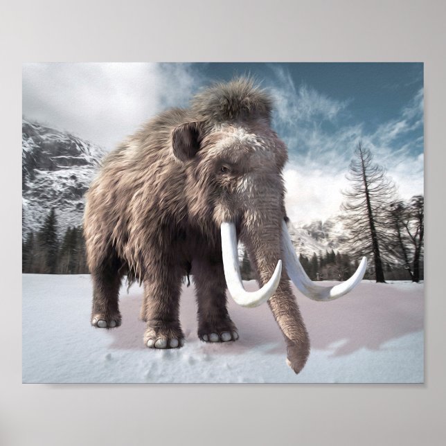 Poster Mammoth laineux (Devant)