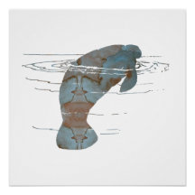 Manatee