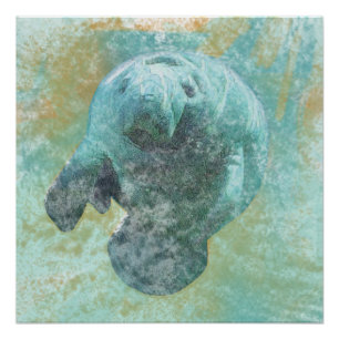 Poster Manatee Sea Cow Art Imprimer