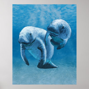 Poster Manatees