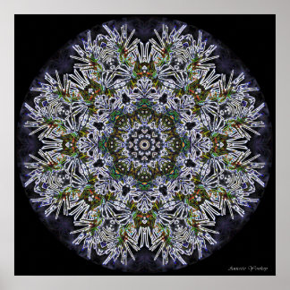 Poster Mandala de flocon de neige coloré