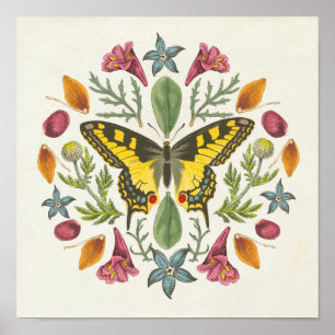 Poster Mandala papillon