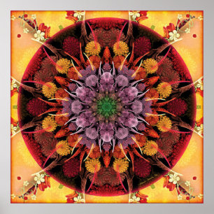 Poster Mandalas pendant des périodes d'affiche de la