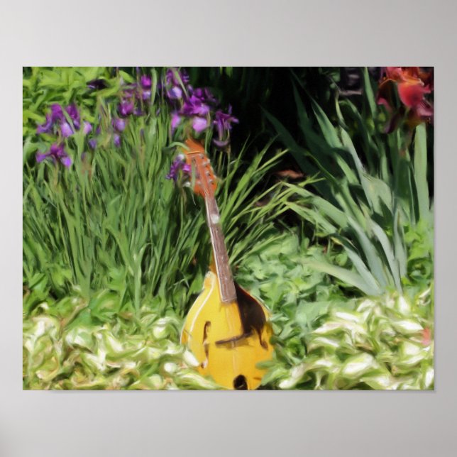 Poster Mandolin Iris Fleur Jardin Photo Peinture (Devant)