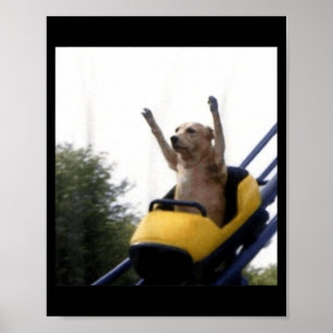Poster Manège de chien labrador Mème drôle