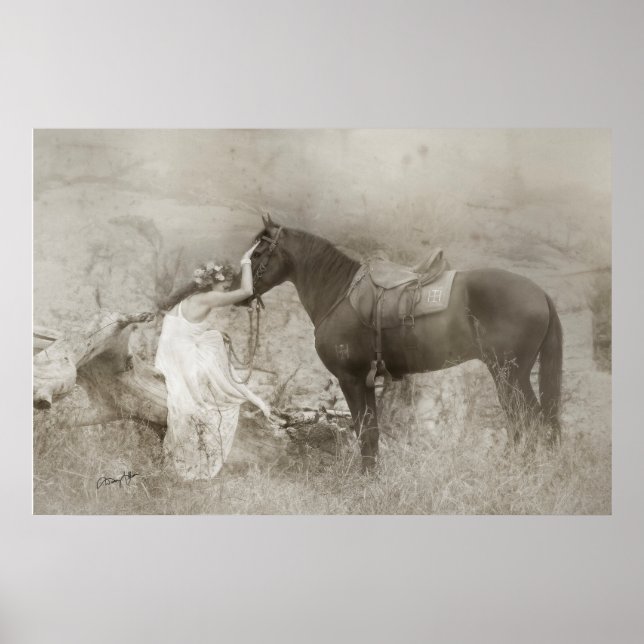Poster Mangalarga Marchador Stallion et femme (Devant)
