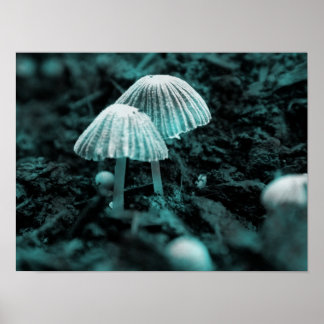 Poster Mange-Moi... Bois-Moi...