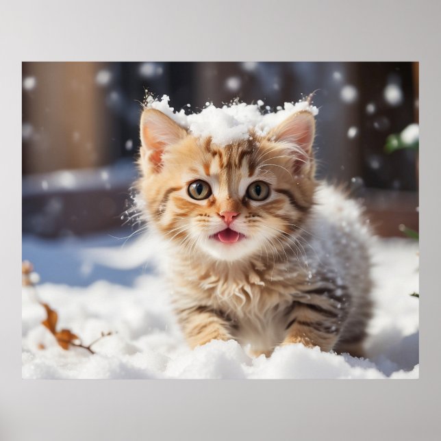 Poster *~* Manger Snow Kitty 5:4 Kitten Cat AP68 (Devant)