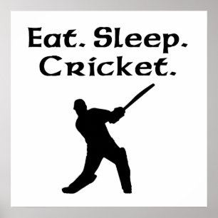 Poster Mangez le cricket du sommeil
