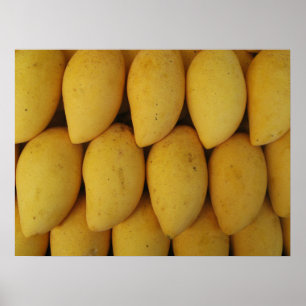Poster Mango