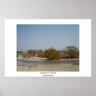 Poster mangroves, floride